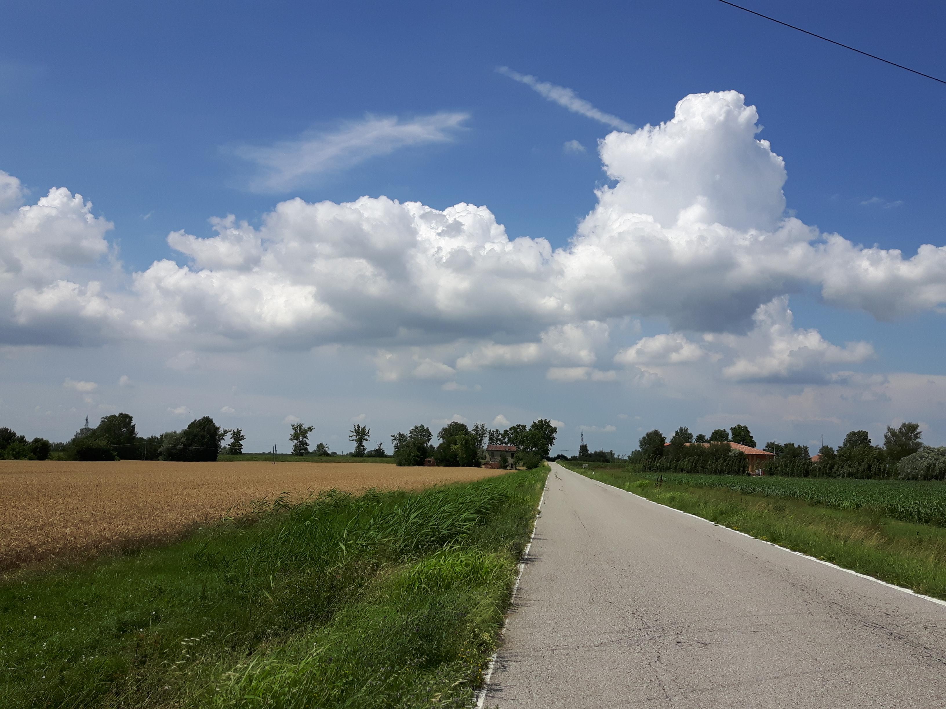 Strada di campagna di joysphoto