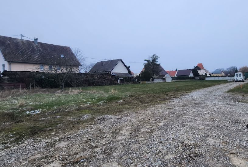  Vente Terrain + Maison - Terrain : 492m² - Maison : 209m² à Raedersheim (68190) 