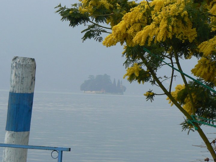 L'isola che non c'è di ziofranky