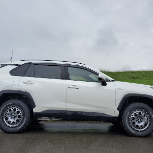 RAV4 AXAP54