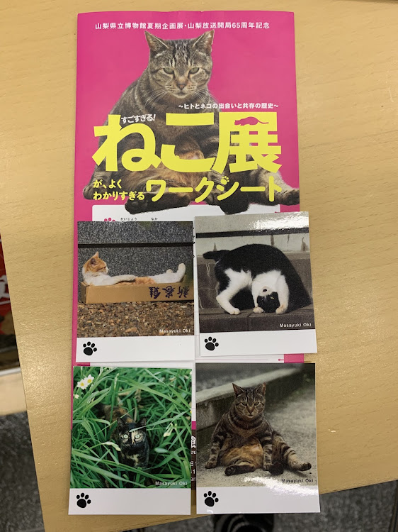 ヴォクシーの我が家は焼き鳥屋さん・ねこ展・塩派・たれ派・山梨・チームローガン関東に関するカスタム事例の投稿画像7枚目
