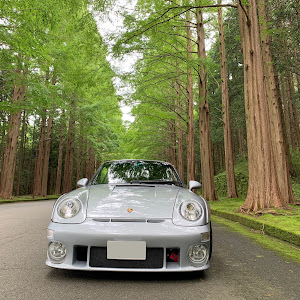 993 カレラ