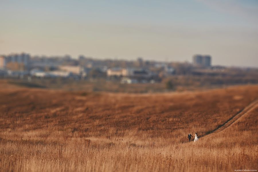 Düğün fotoğrafçısı Andrey Medvedyuk (medvediuk). 7 Aralık 2014 fotoları