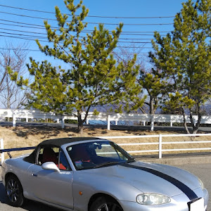 ロードスター NB6C