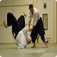 Download Aikido For PC Windows and Mac 1.0