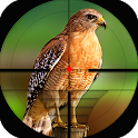 Birds Hunting Challenge Game