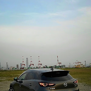 CX-3 DKEFW