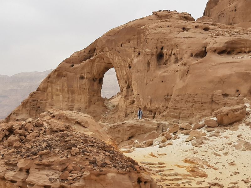 10 дней в Израиле в феврале: история, природа, отдых