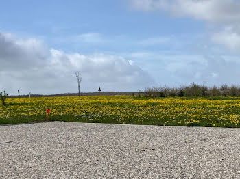 terrain à Loulay (17)