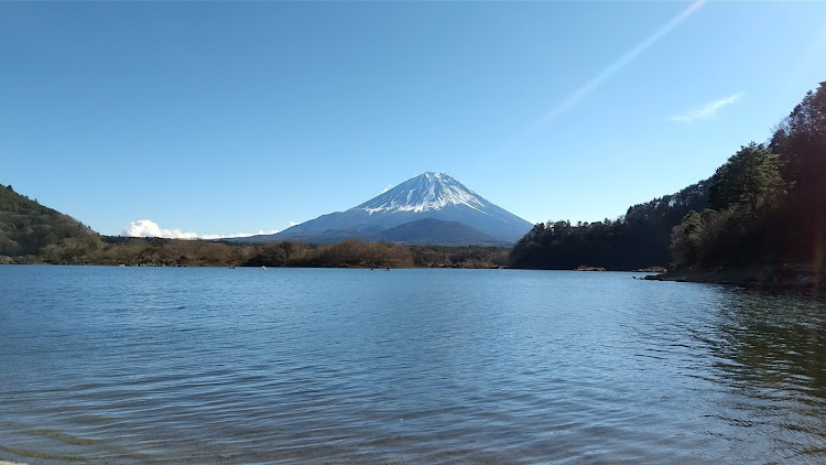 の投稿画像6枚目