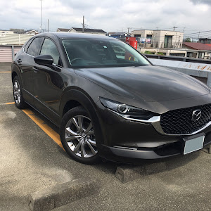 CX-30 DMEP