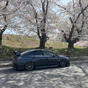 WRX S4 VAG