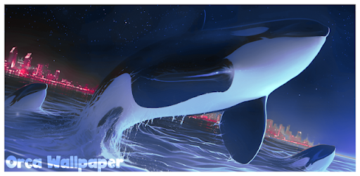 Orca Whale Wallpaper Live HD