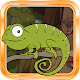 Download Camaleon App For PC Windows and Mac