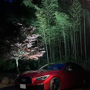 スカイライン HNV37