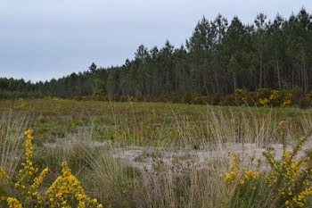 terrain à Mios (33)