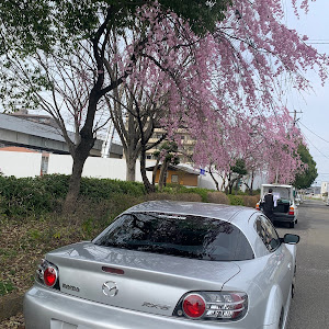 RX-8 SE3P