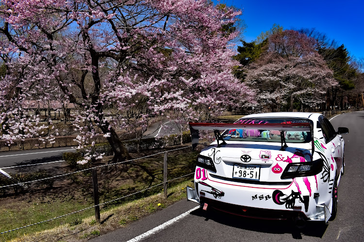カムリの画像加工に関するカスタム事例の投稿画像3枚目