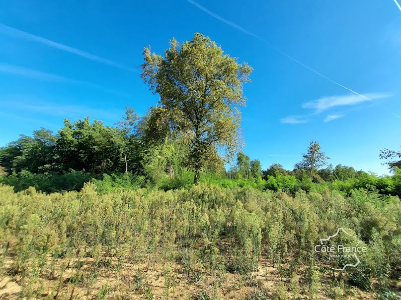 Vente terrain  700 m² à Landiras (33720), 126 000 €