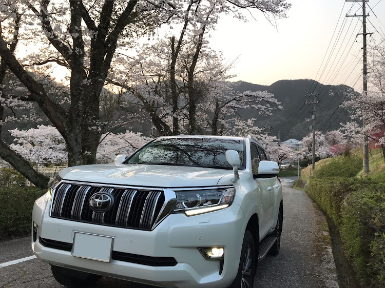 ランドクルーザープラドの洗車・ドライブ・桜とコラボに関するカスタム事例の投稿画像1枚目