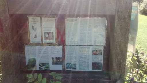 Withdean Park Information Board