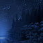 Forest Night - New Tab in HD