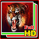 Download Sumatran Tiger Wallpaper Full HD For PC Windows and Mac 3.1