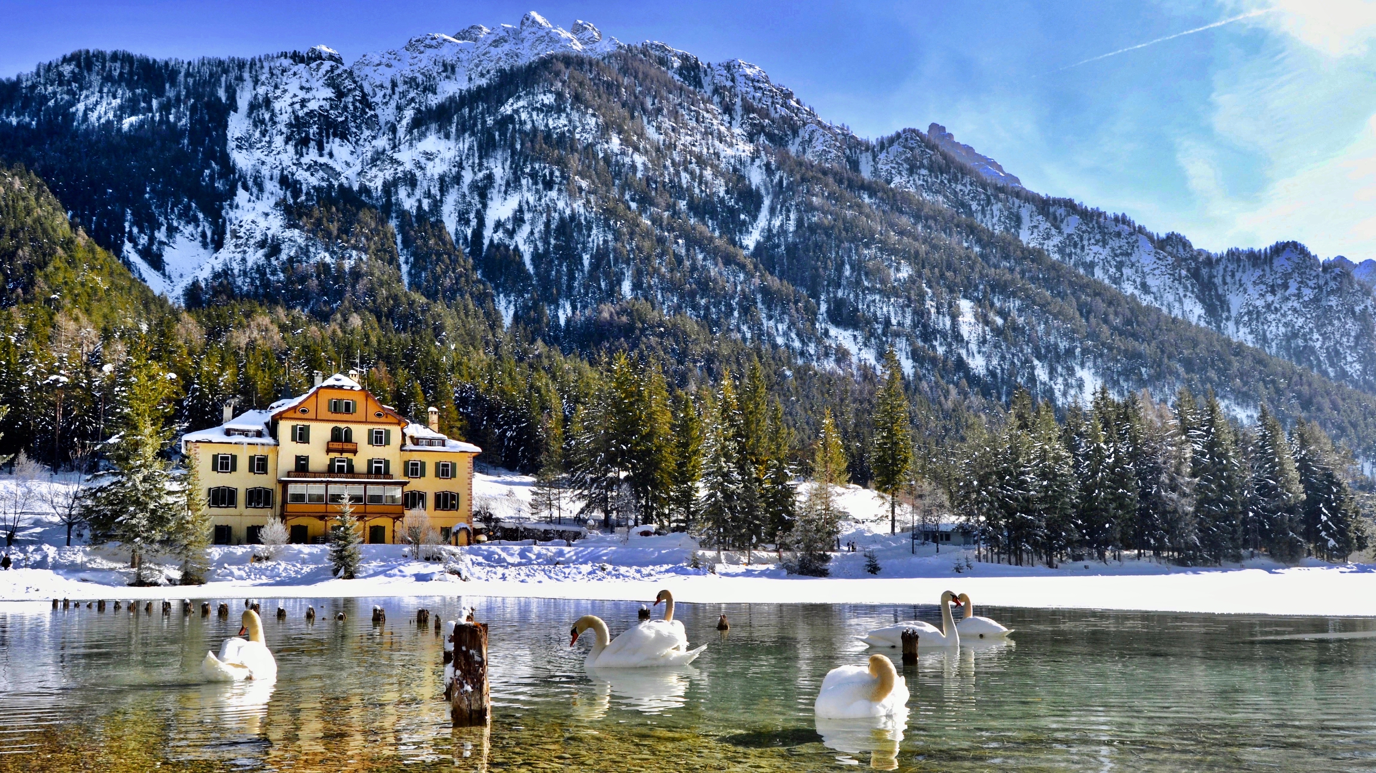 Il lago dei cigni di giuseppedangelo