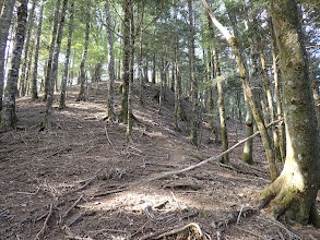 観音山までは広い尾根