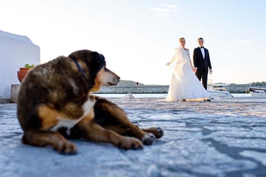 Wedding photographer Florin Stefan (florinstefan1). Photo of 9 March 2019