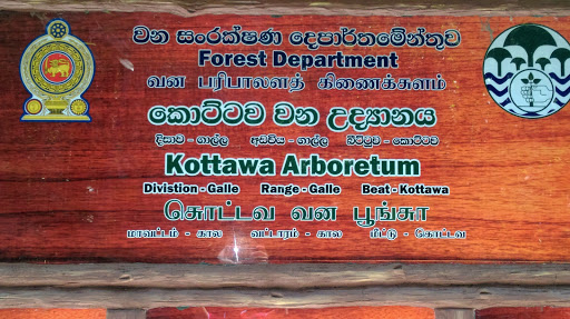 Kottawa Arboretum