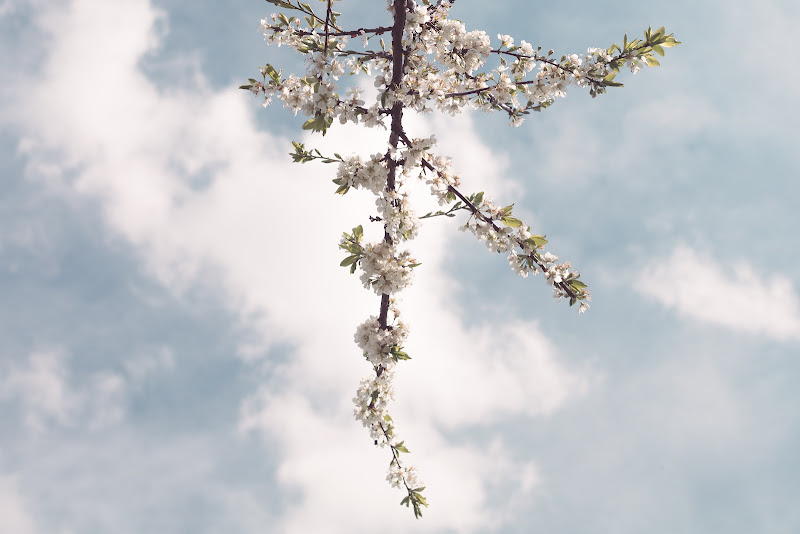 I venerdì di primavera di nicomasini