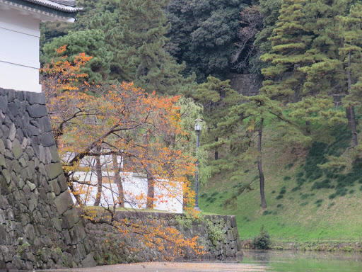 Wandering around the Imperial Palace & elsewhere Tokyo Japan 2017