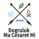 Download Doğruluk Mu Cesaret Mi 2020 For PC Windows and Mac