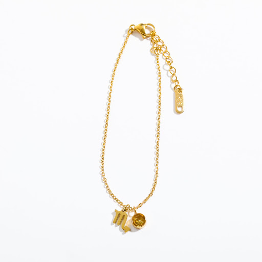 Title 5, Stainless Steel Womens Twelve Constellation Bi...