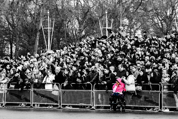  In front of Buckingham Palace di Mario Quaglia