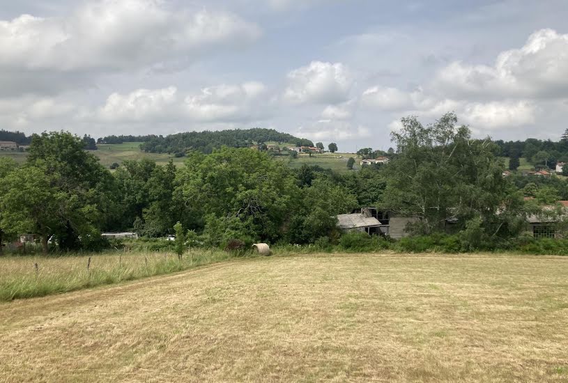  Vente Terrain à bâtir - 3 496m² à Montbrison (42600) 