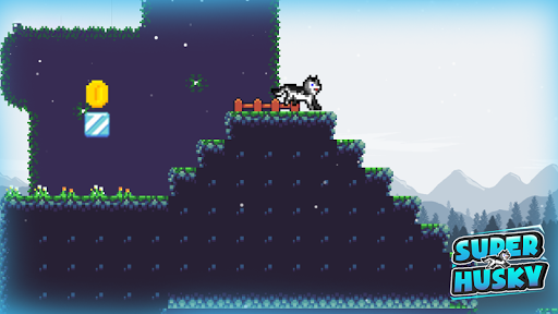 Super Husky Adventure Platform Game