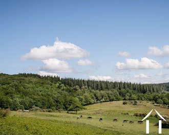 terrain à La Salvetat-sur-Agout (34)