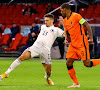 La Bosnie avec deux joueurs de Jupiler Pro League face à la France et la Finlande