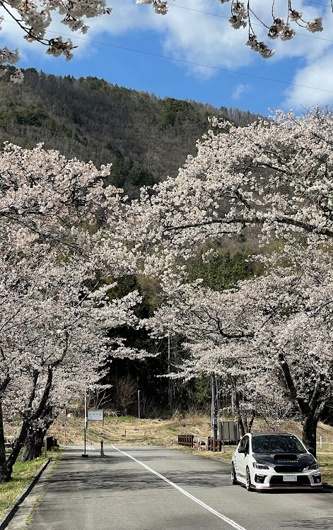 の投稿画像6枚目