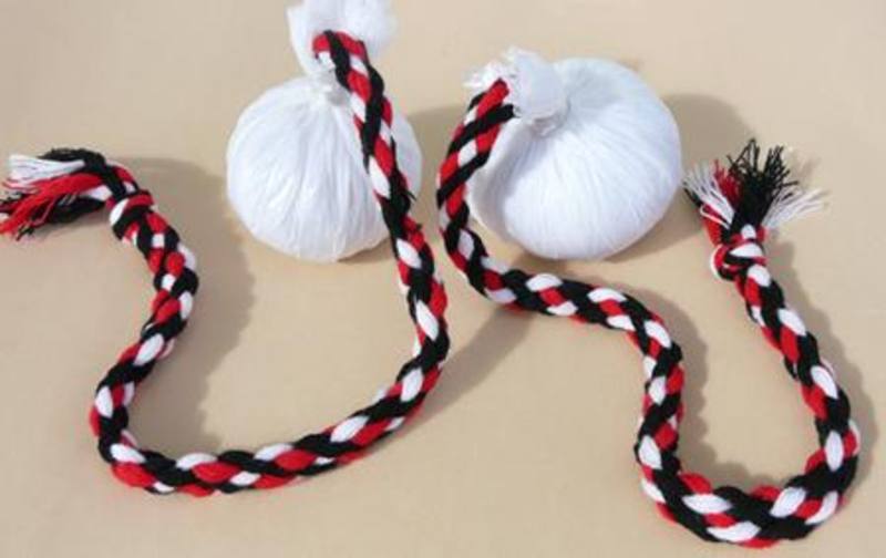 Image result for maori poi