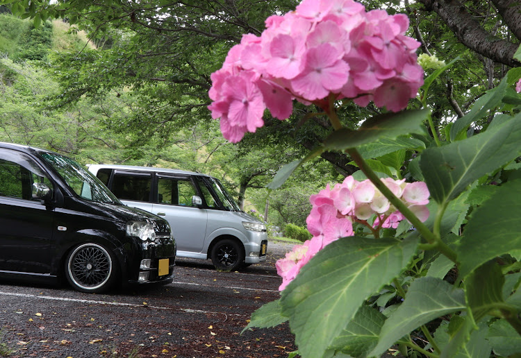 ムーヴカスタムの季節の花・紫陽花・癒し系🙄・将来のキャンboy＆girl😅に関するカスタム事例の投稿画像2枚目