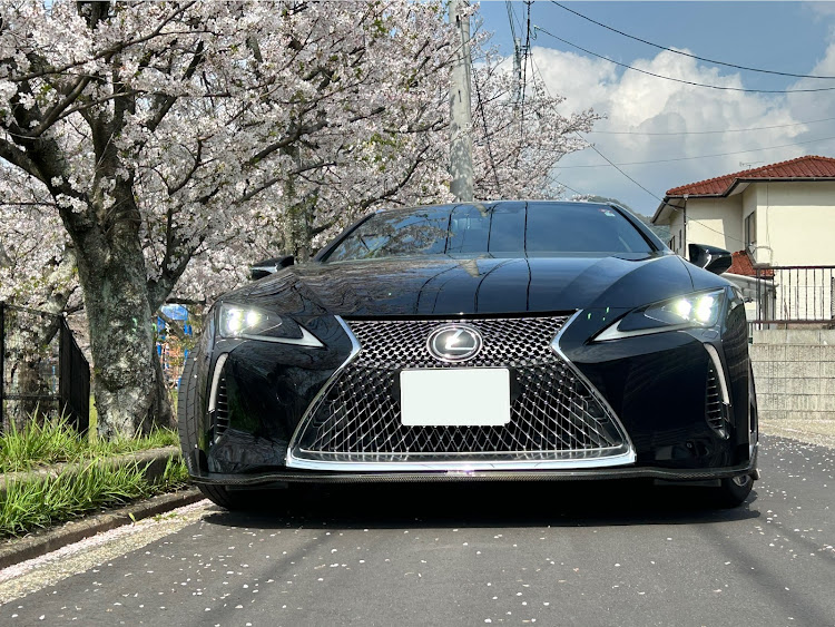 LCのサクラと愛車・4月もよろしくお願い致します🌸に関するカスタム事例の投稿画像5枚目