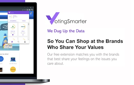 VotingSmarter Preview image 0