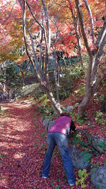 の投稿画像4枚目