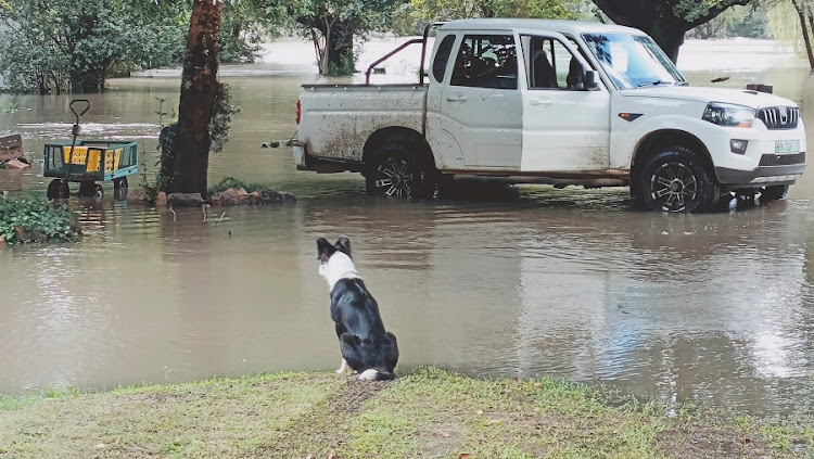 Flooding in Parys. Picture: Graeme Addison