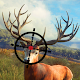 Wild Animal Hunting Game 3D Download on Windows