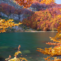 Cornice autunnale di 