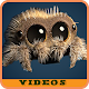 Download Lucas the Spider : music For PC Windows and Mac 1.0